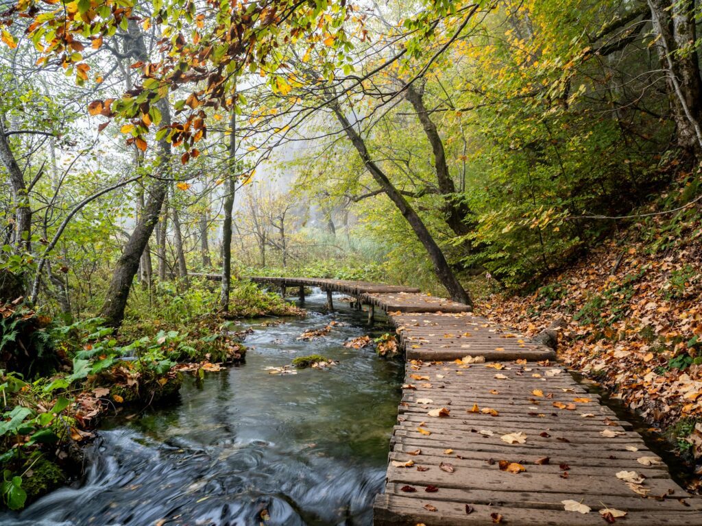 Lakes and waterfalls of Plitvice Lakes National Park